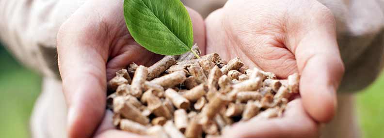 Pellet Erneuerbare Energie