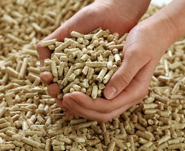 Pellets Erneuerbare Energien